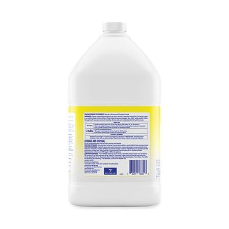 Avery Dennison Avery, VIBRANT INKJET COLOR-PRINT LABELS W/ SURE FEED, 3 1/3 X 4, MATTE WHITE, 120PK 8254